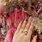 ANILLO KATH