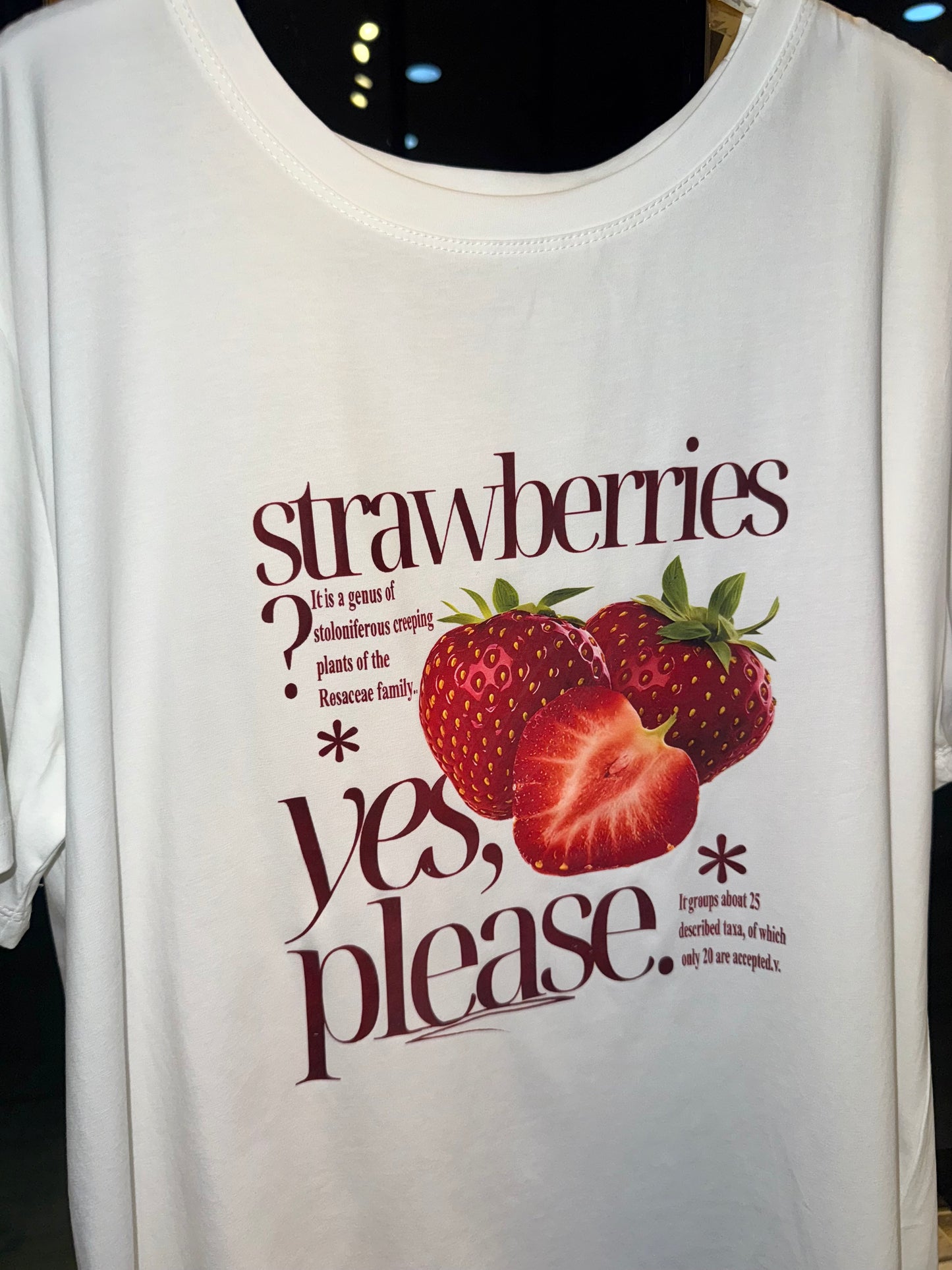 PLAYERA STRAWBERRIES