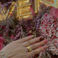 ANILLO STEF