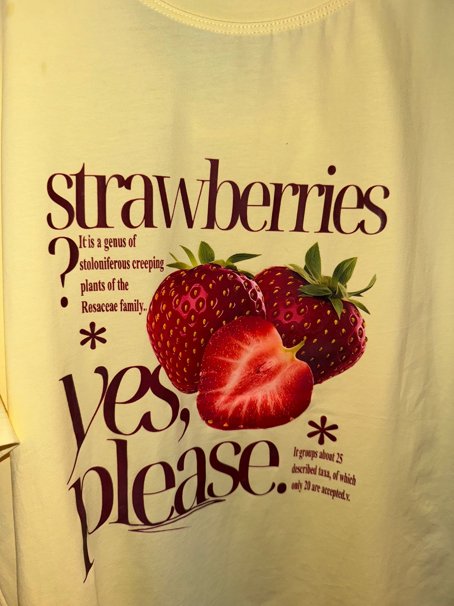 PLAYERA STRAWBERRIES