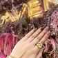 ANILLO TESS