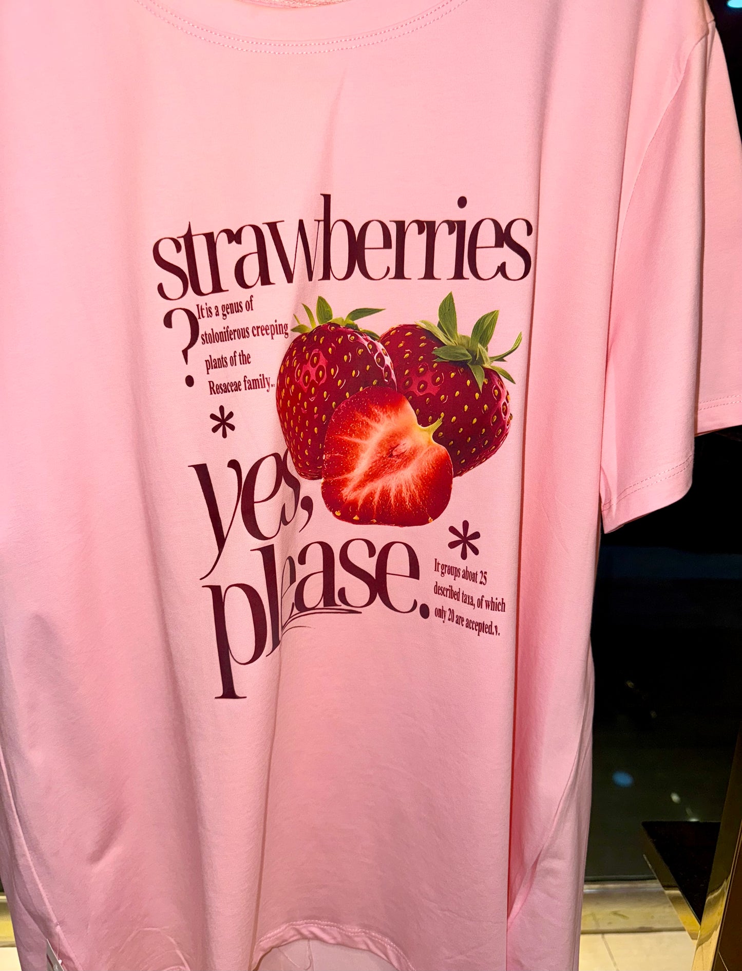 PLAYERA STRAWBERRIES