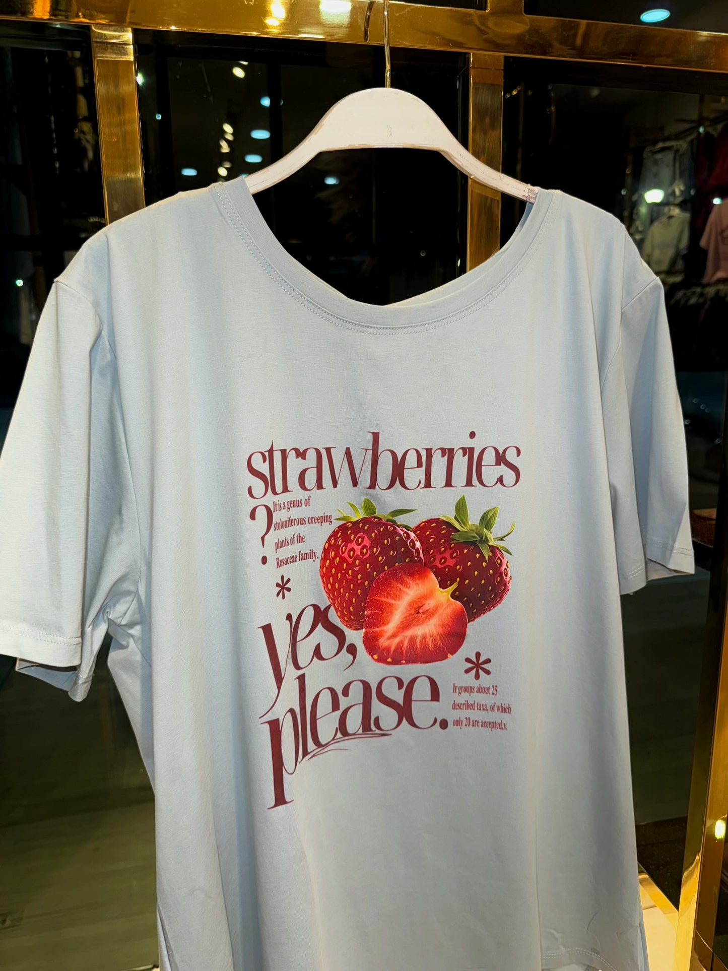 PLAYERA STRAWBERRIES